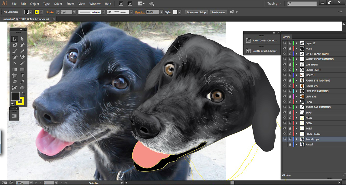 dog Illustrator adobe illustrator vector paint draw puppy furry portrait animal Playful short-haired mans best friend dog drawing vector painting