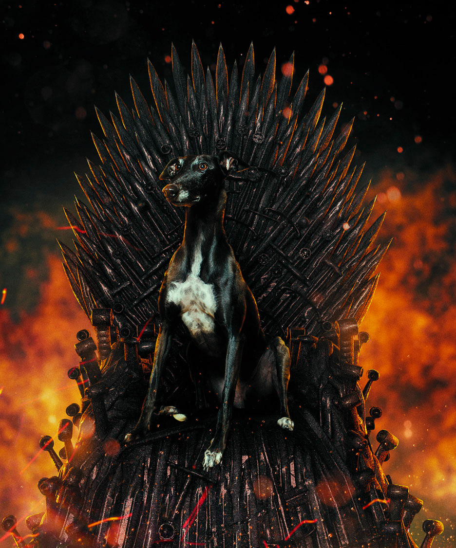 got Game of Thrones greyhound Fan Art iron throne