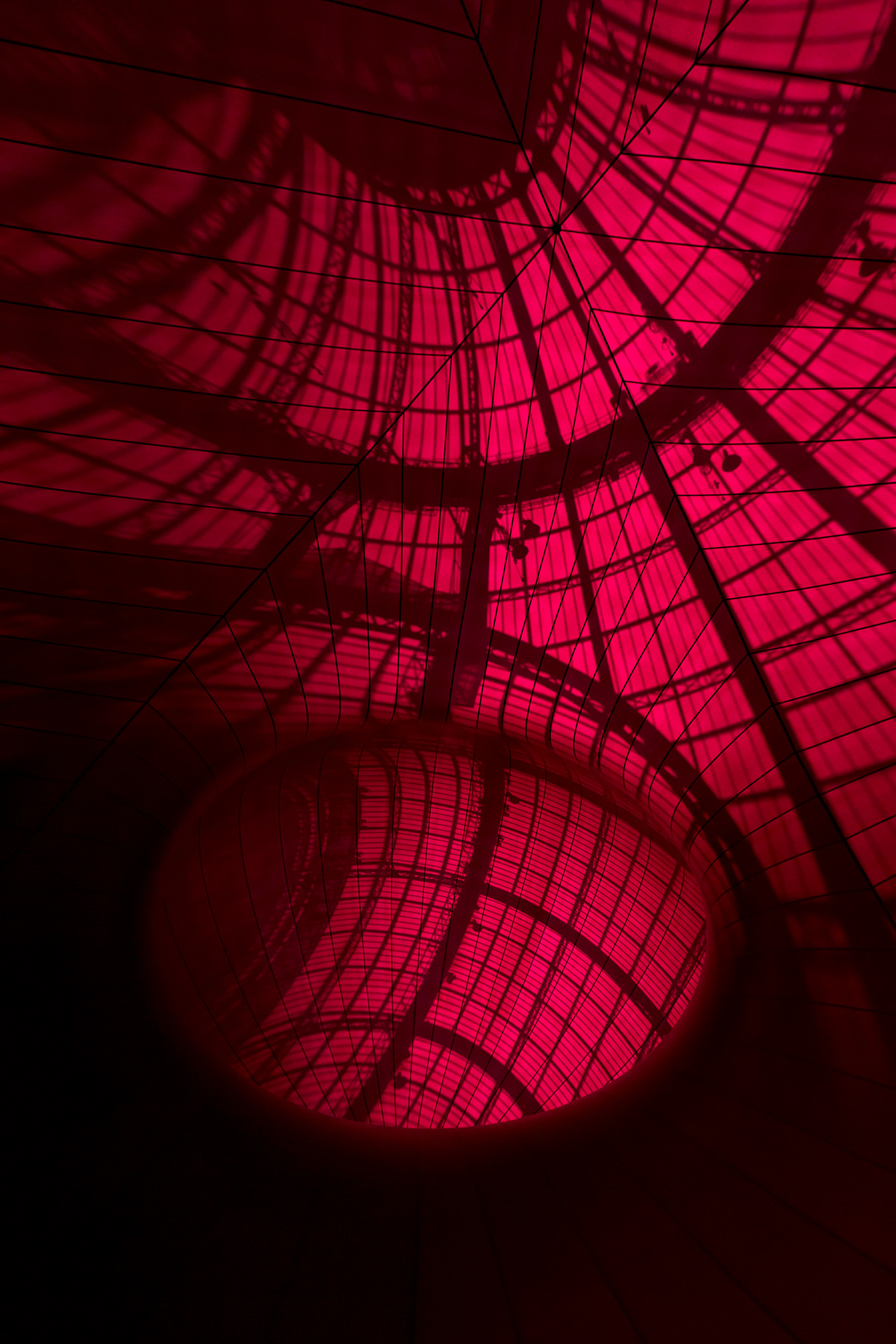 Monumenta Anish Kapoor Grand Palais leviathan red purple art graphic