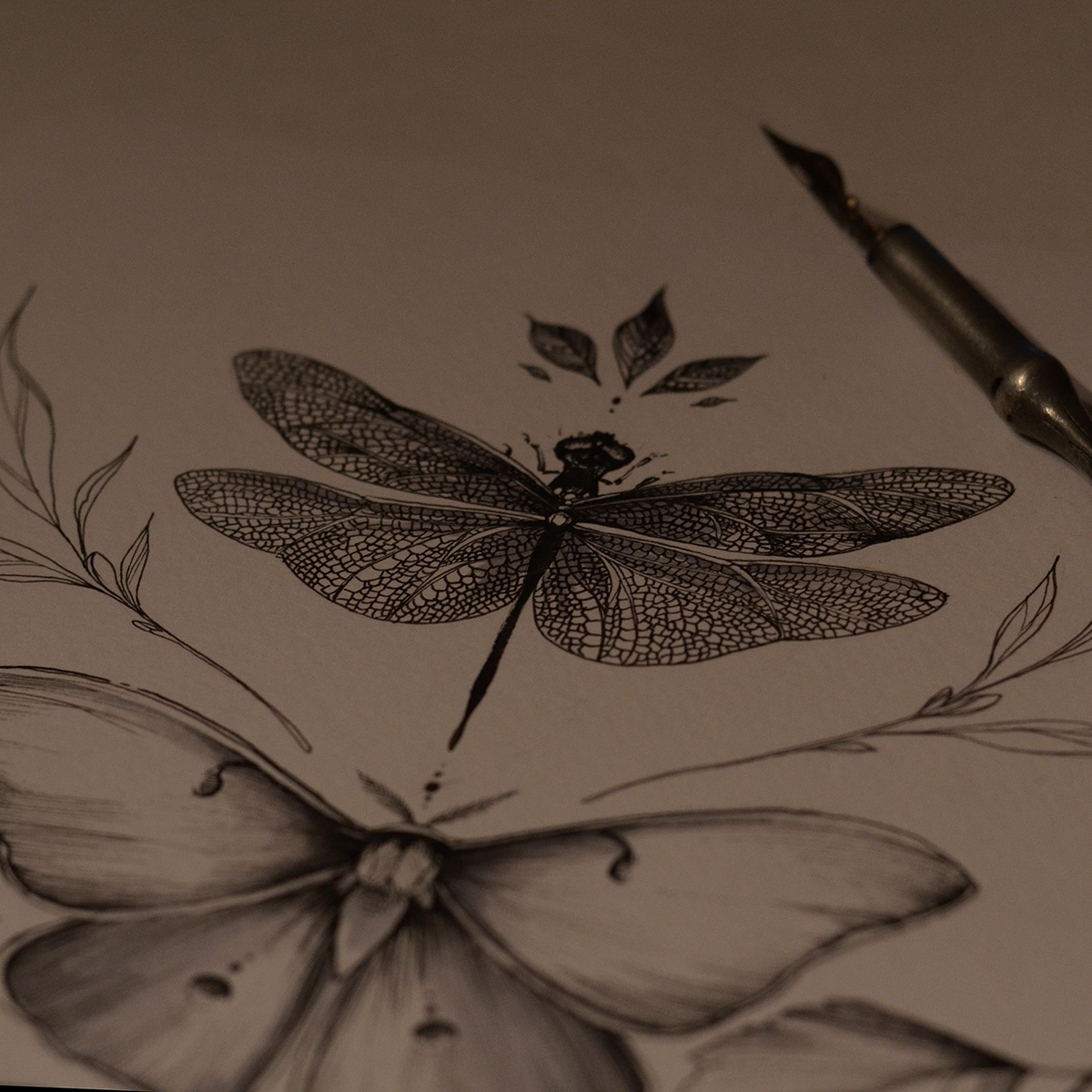 botanical dragonfly butterfly graphic art plants sketch tattoo ILLUSTRATION  design