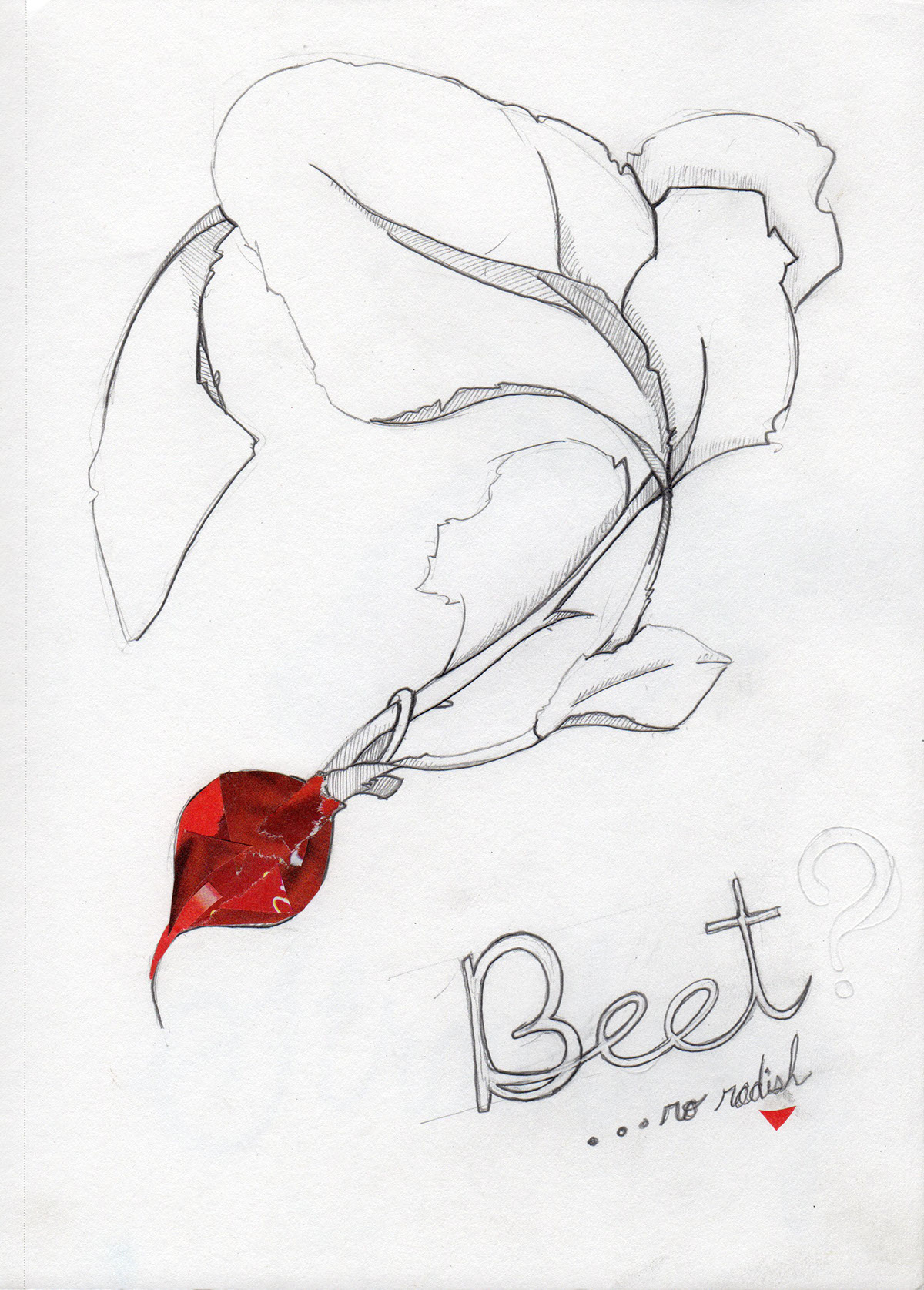 sketchbook pencil type color watercolor paint Script Nature flower Food  Flowers SCAD winter repeat line