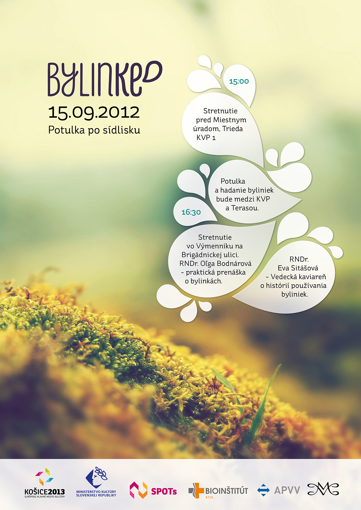 book Herb herbal city editorial design binding poster recipes heald care Nature Flowers logo Logotype