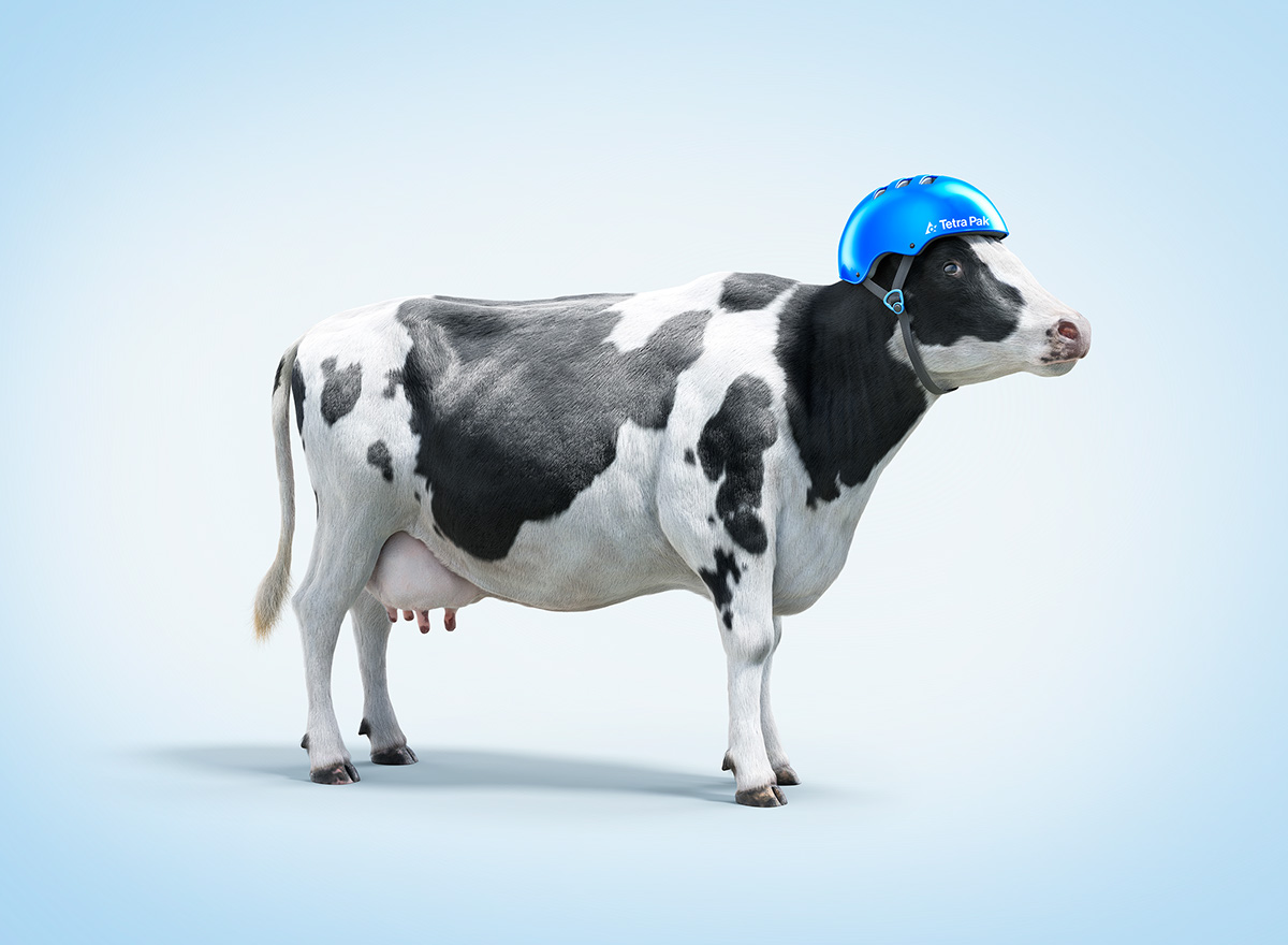 cow animal 3D CGI Fur modo Zbrush farm Helmet Bike TetraPak milk