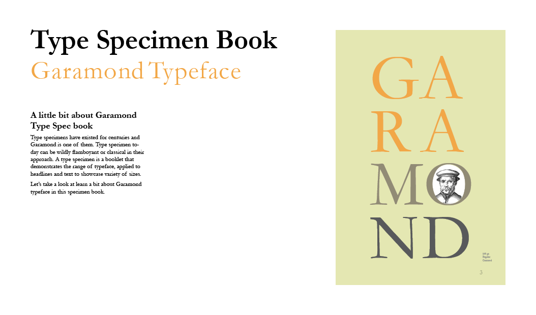 graphic design portfolio book design typedesign type face typography   Graphic Designer