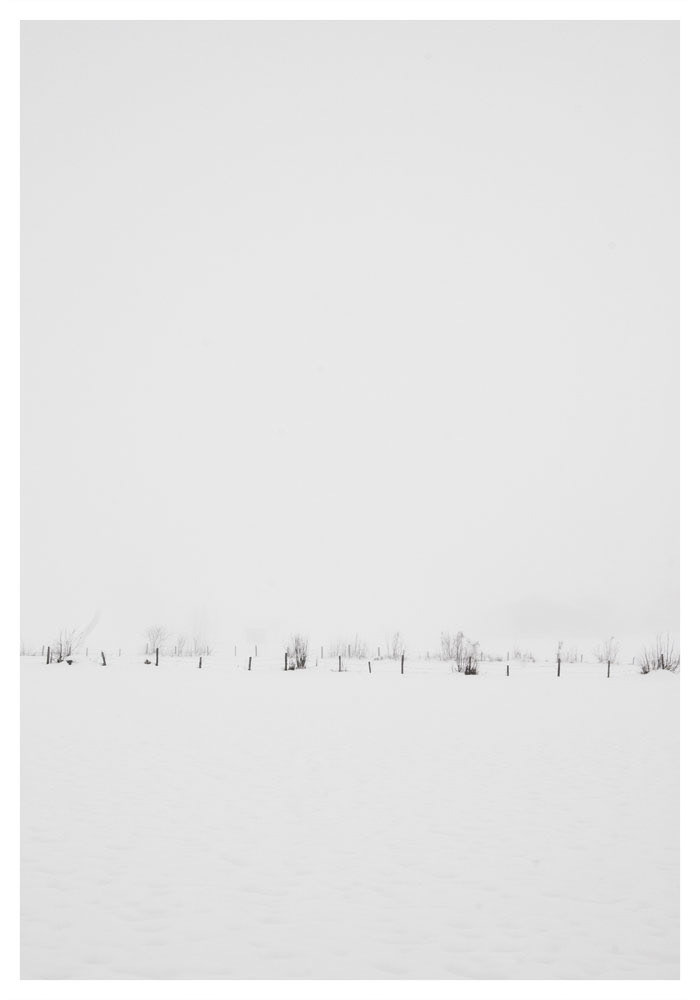 Whitespace White Space  winter foto fog Nature