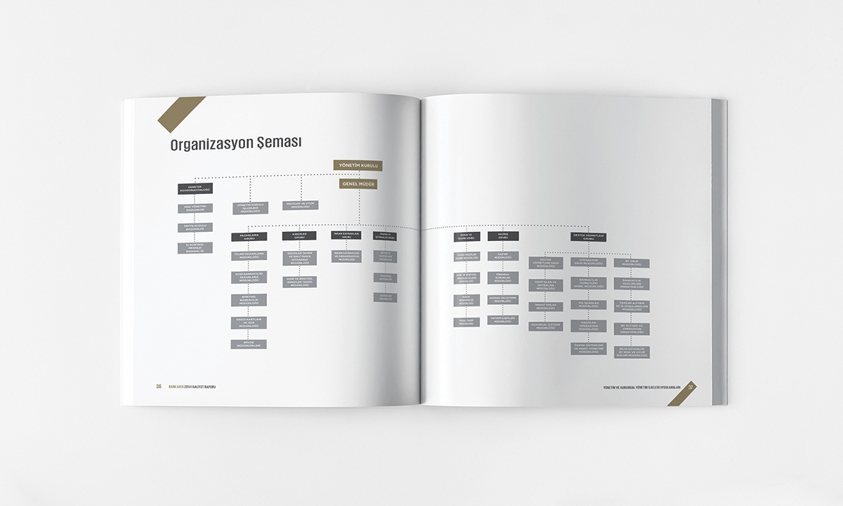 annual report book cover font portfolio infographic magazine report brochure catalog Bank logo logofolio mock minimal