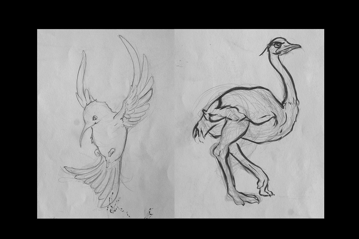 shetchbook Davide Penna ink fantasy caricature   sketches scrapbook paper pen birds Game Art concept