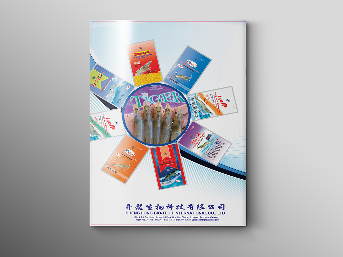 catalog Bìa sách Thang Long bia Hoàng Tuấn tuấn tiểu tử Zin Ken  Zin Ken Art notebook