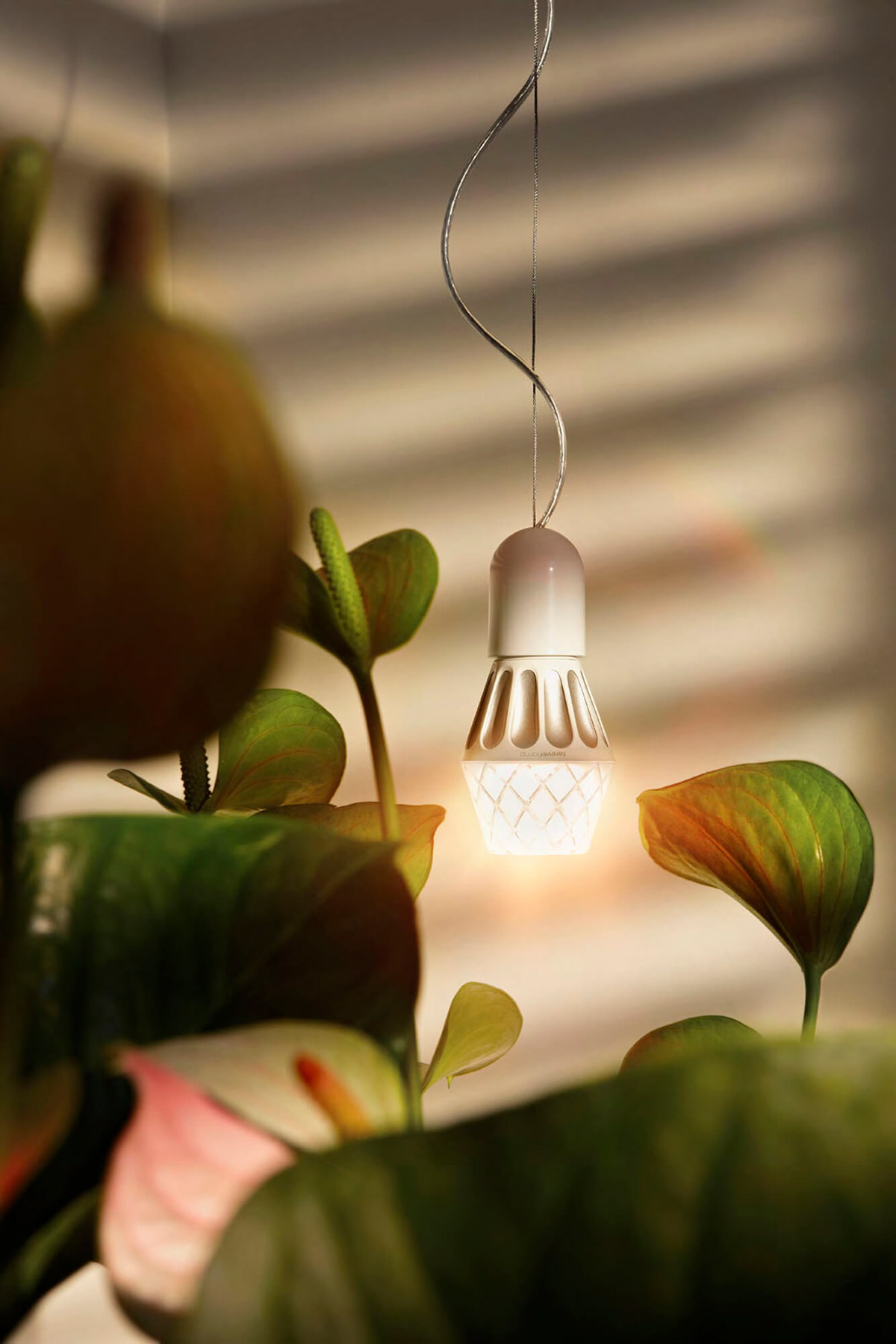 led light vienna  Alessilux  Foreverlamp  sustainable frederic Gooris alessi Studio Gooris dimmable light bulb illumination