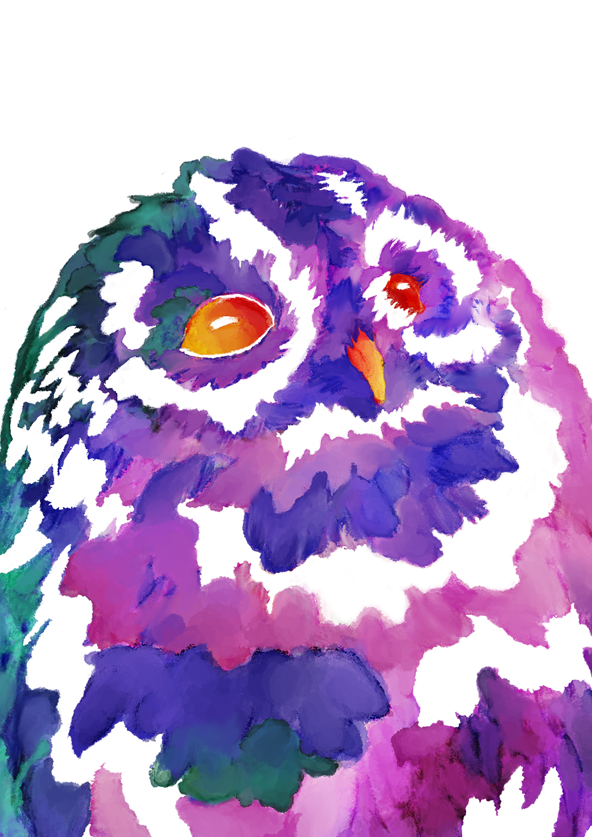 watercolour ILLUSTRATION  animals Magical UNICRON owl