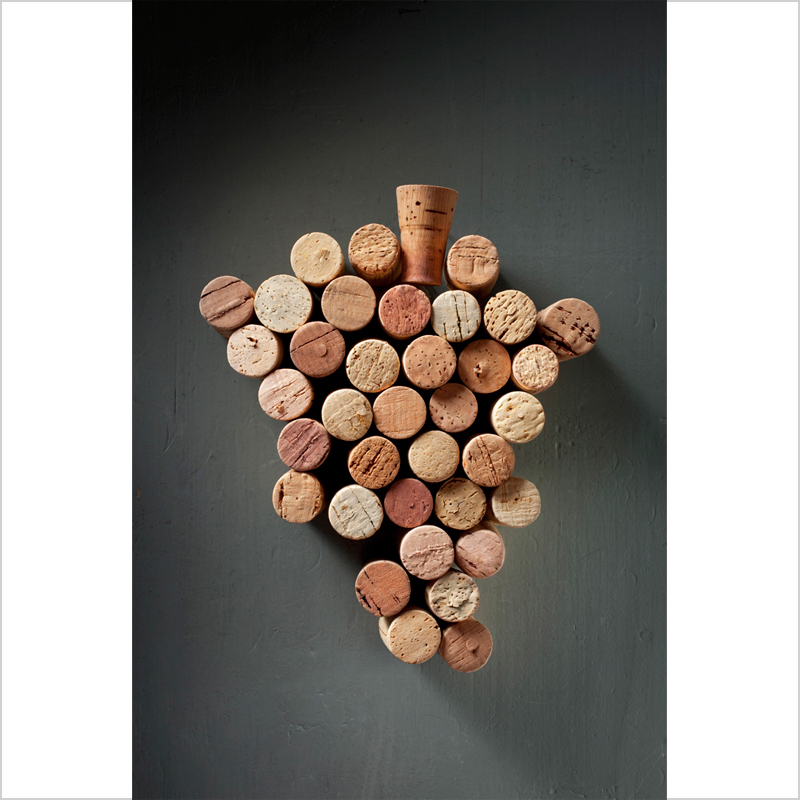 wine Wine Bottle grape agriculture corkscrew bunch of grapes Cork - Stopper vigna