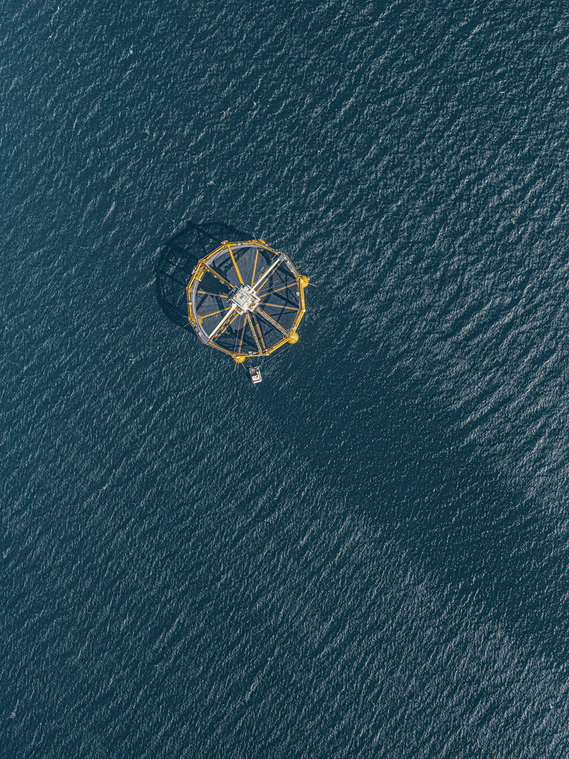 Aerial aquaculture fish fishfarm helicopter islands norway sea