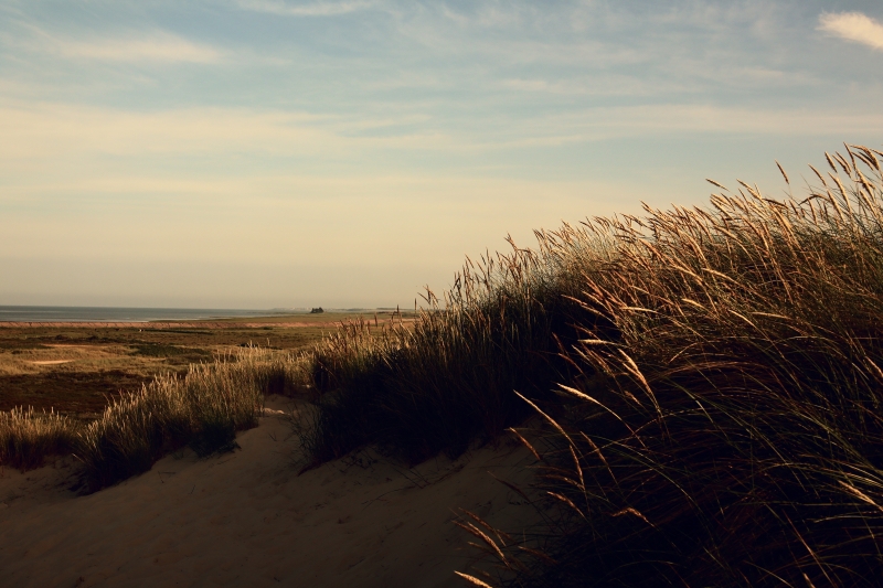 amrum germany Isle portrait Landscape scape sand dune dunes photo digital square wide composition