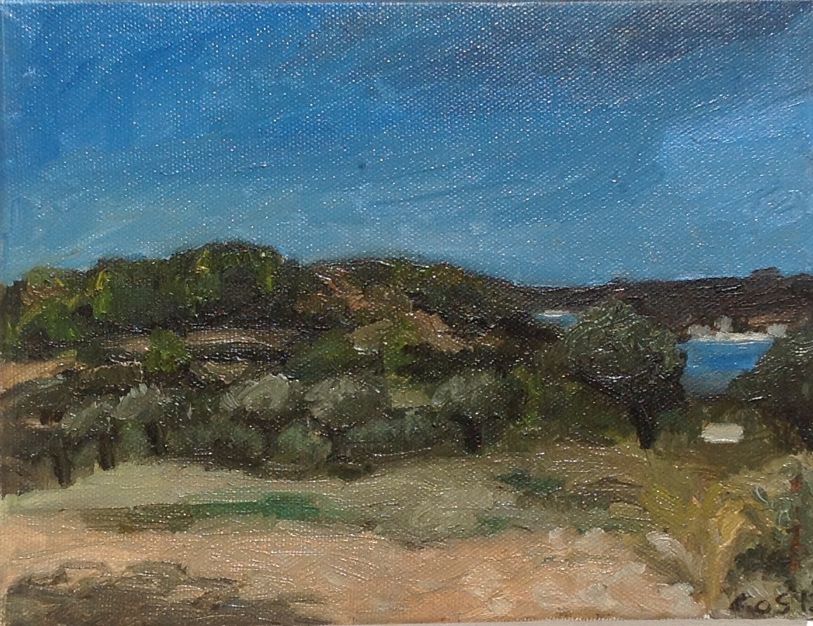 Landscape sea Nature portrait Greece impressionism agriculture rural Island porto heli spetses