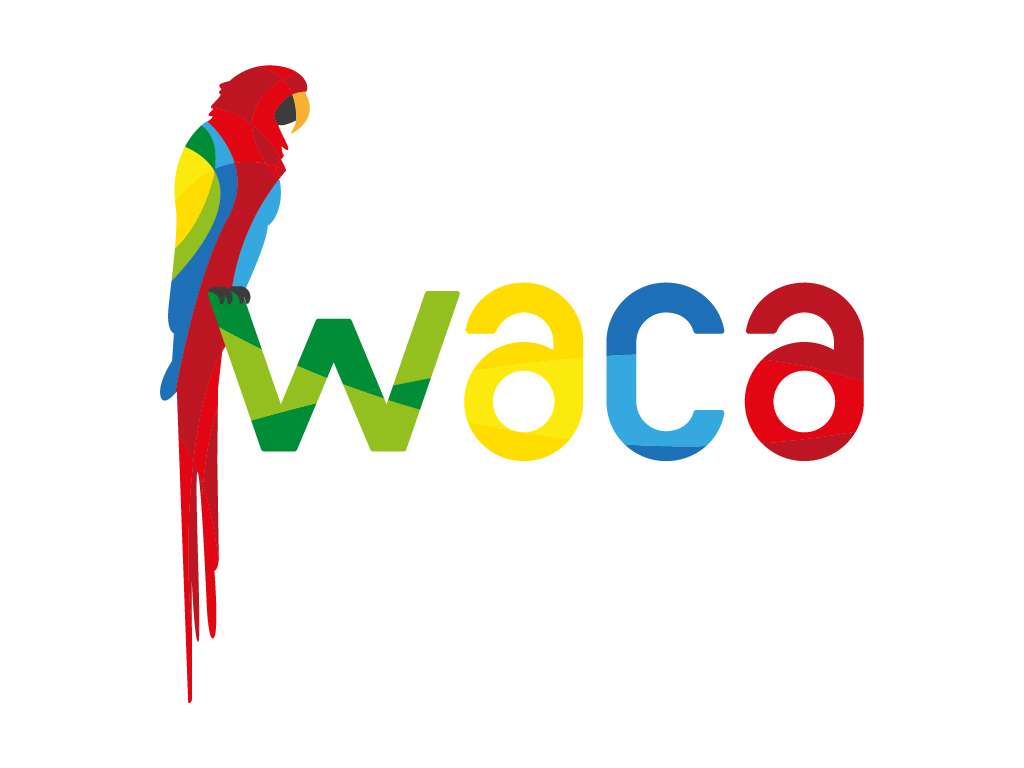 macaw bird graphic Logotype brand