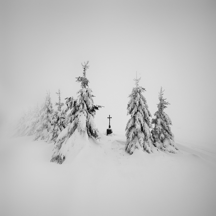 Minimalism trees winter snow mist fog black and white Czech Republic ore mountains frost