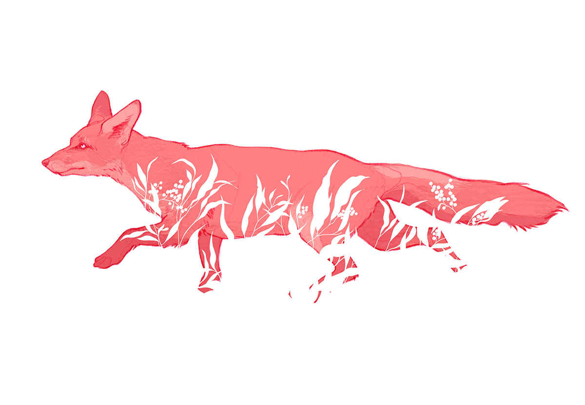 FOX hands editorial magazine wild salvaje soft pink Nature animal