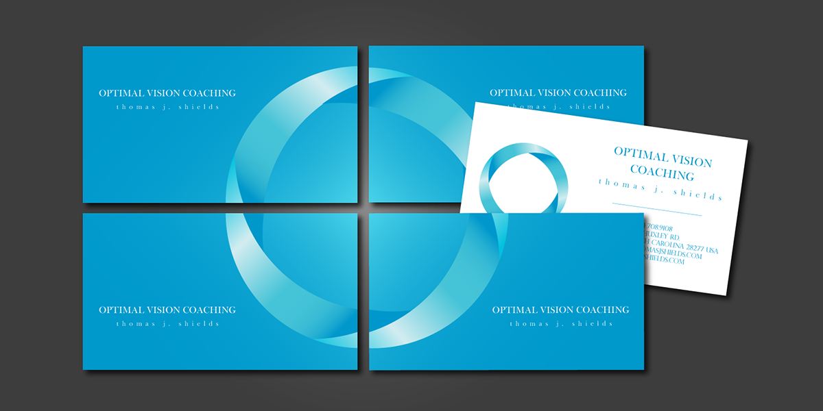 logo logos optimalvision blue White Layout JoeShields Shields dog Cat mouse type fonts identity