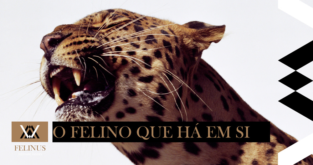 Roberto gamito Gamito Sara Semeão Sara neves raro Unique erotic Felino luxury Felinus Portugal estudio