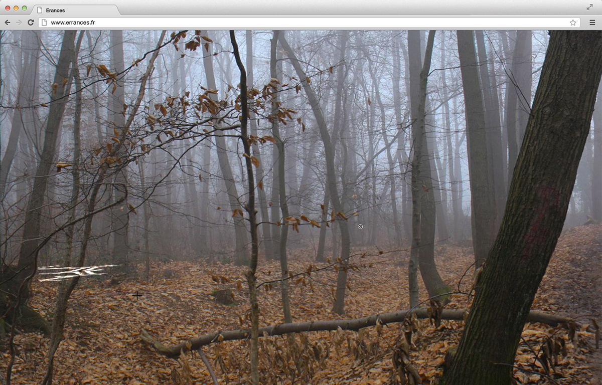 experimental forest walk photo panorama immersive interactive