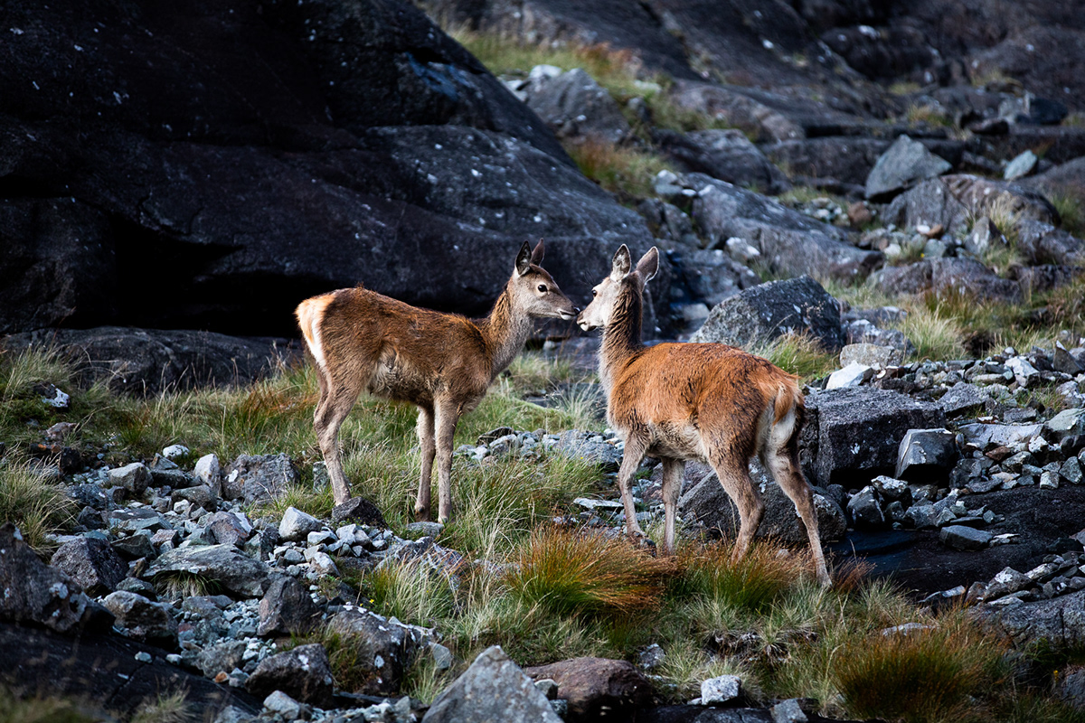 Nature Outdoor Photography  scotland Landscape outer hebrides Skye Travel vanlife
