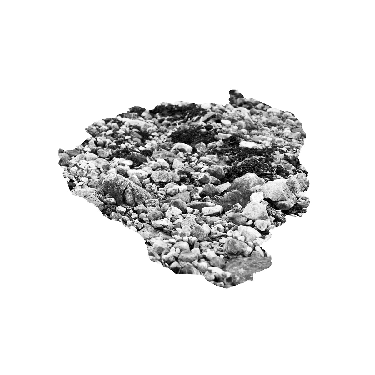 earth stone Landscape Hasselblad film scan