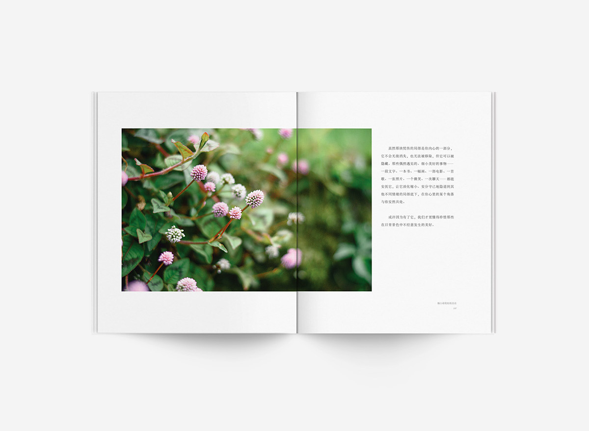 book photographs publication editorial Collection black ants essays after 17 chinese