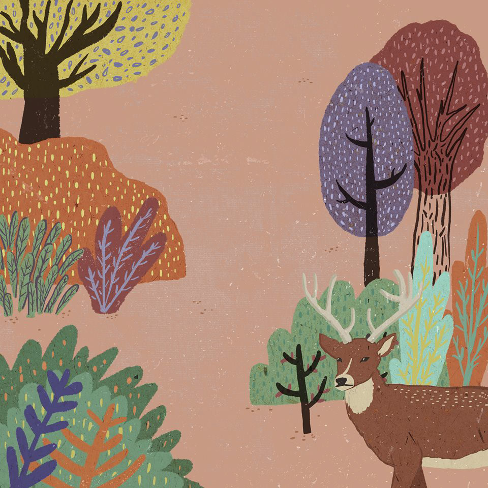 illustrations sketch ciervos ciervo Reno naturaleza arbol arboles Tree  trees colours