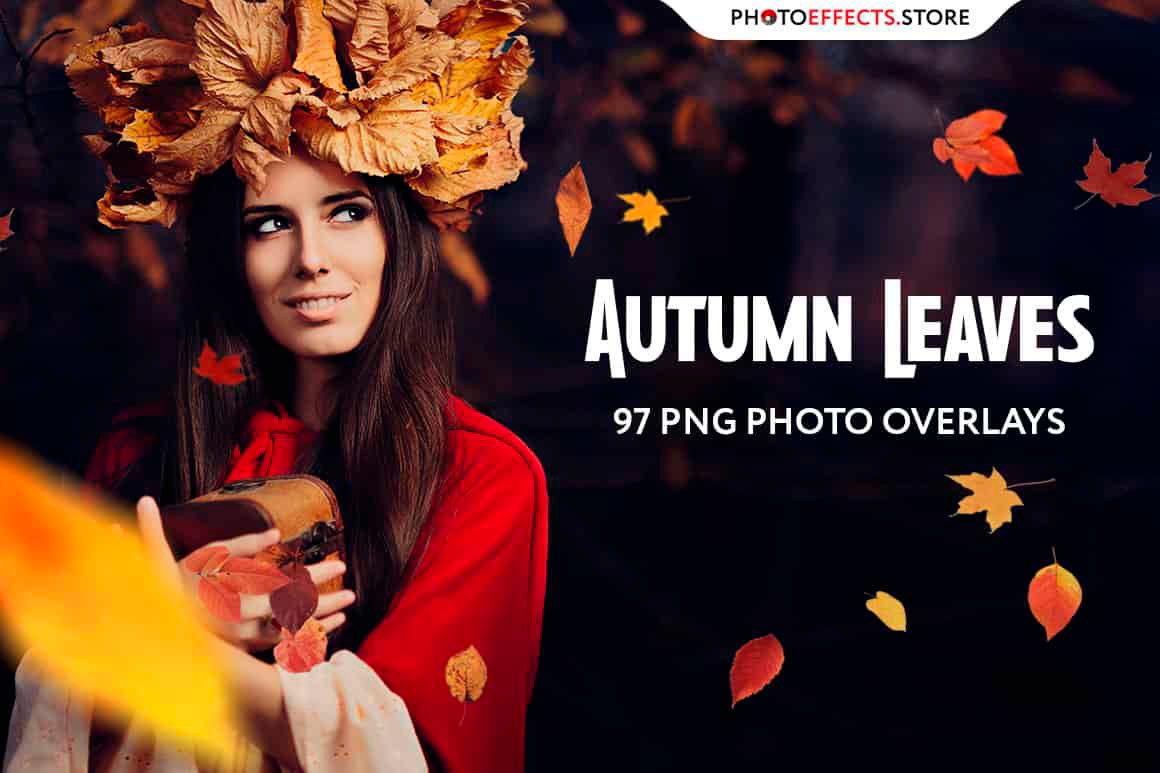 Autumn Wedding Digital Autumn digital overlays Leaf Overlays leaves Leaves Overlays Oak Leaf Autumn overlays photoshop photo overlays photography overlays