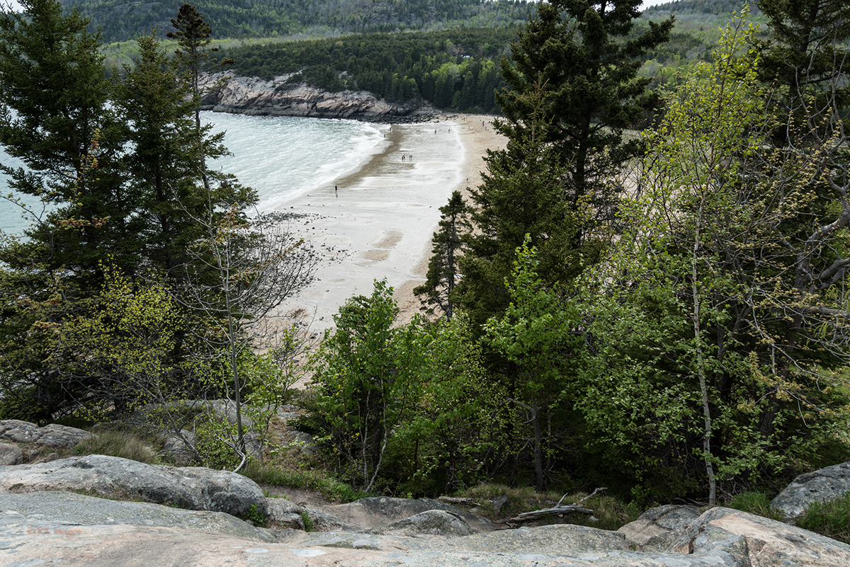 Nature Landscape national parks Ocean water spring Maine