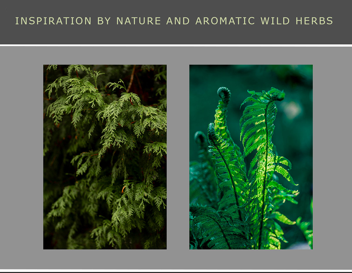 herbs Flowers pattern design  bedding design wild forest Magic   Digital Art  ILLUSTRATION 