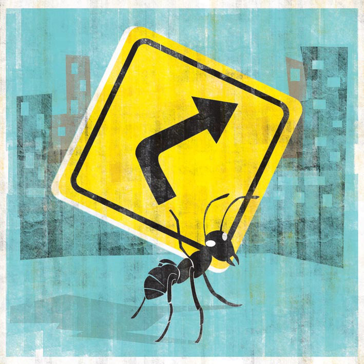 ilustracion roldan hormigas culo Trabajo practico fadu uba