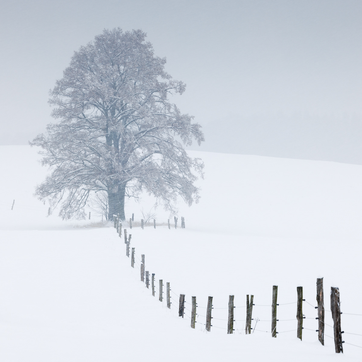 snow winter Nature Landscape Minimalism Photography  fine art Czech Republic mountains simplicity