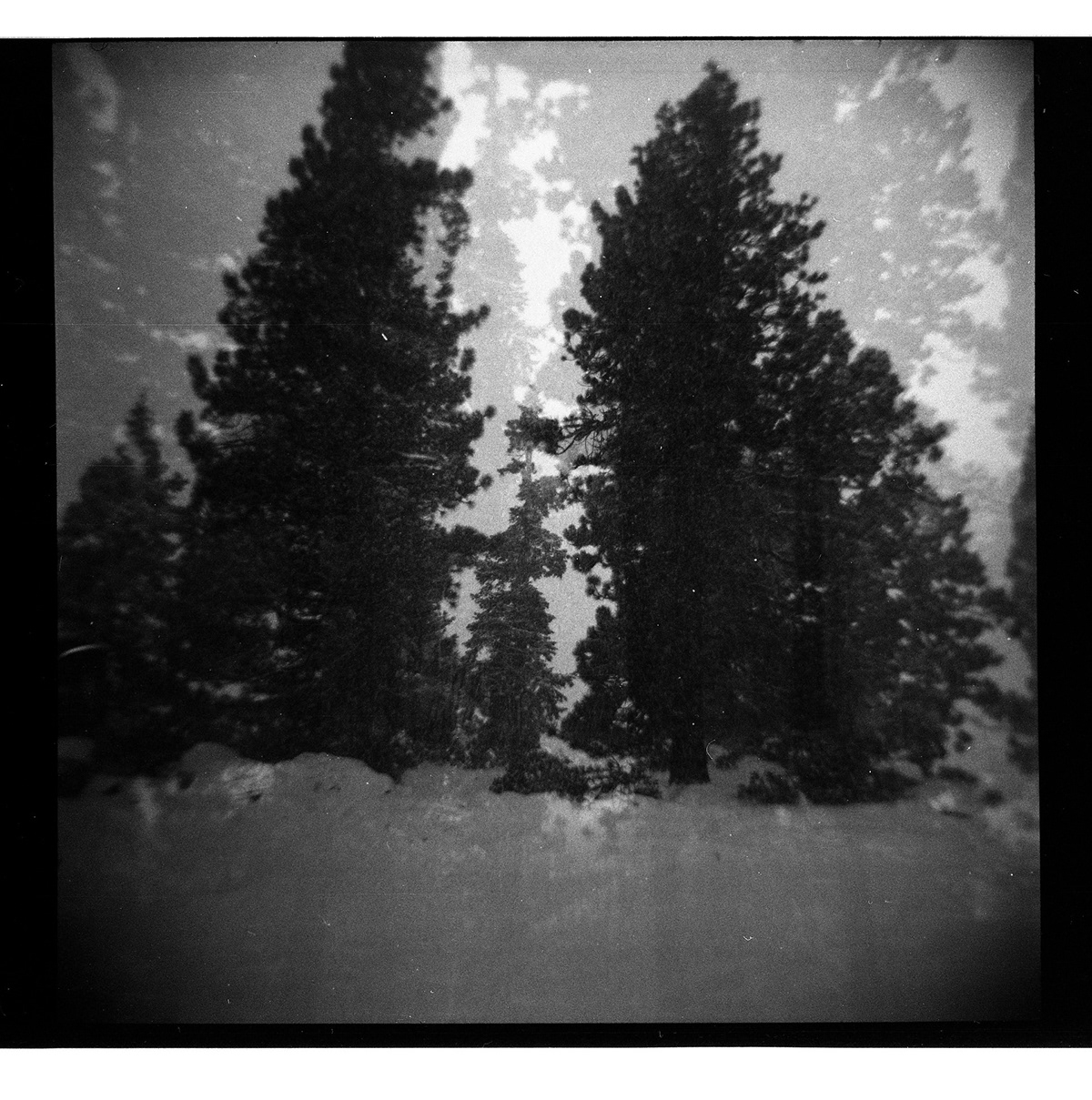 Film Negatives scanned images blackandwhite film photography