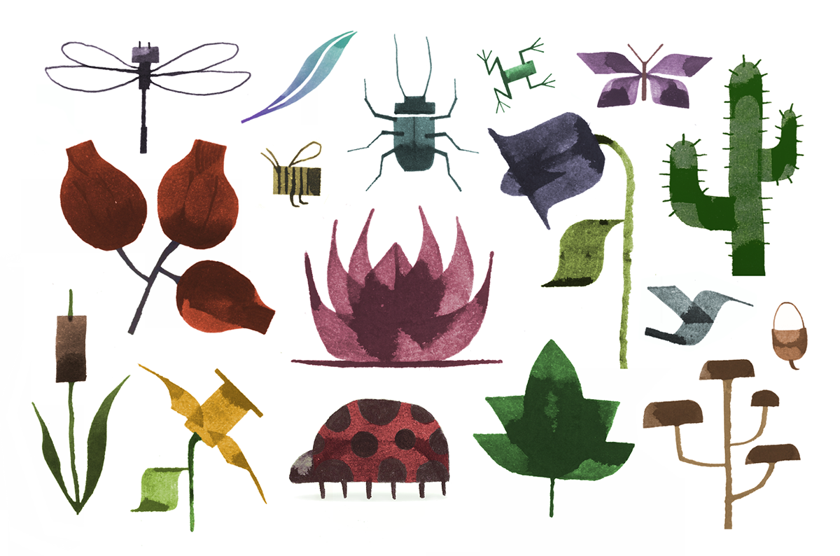 Nature calligraphynature bug flower summer daffodil Lotus ladybird leaf mushroom dragonfly butterfly feather beetle frog