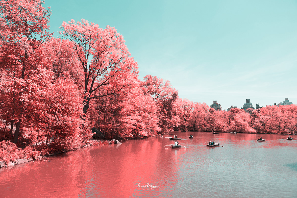 New York infrared digital photo photoshop Nature water red color light city Landscape Urban design Manhattan