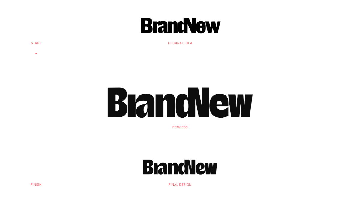 branding  Logo Design wordmark merchandise