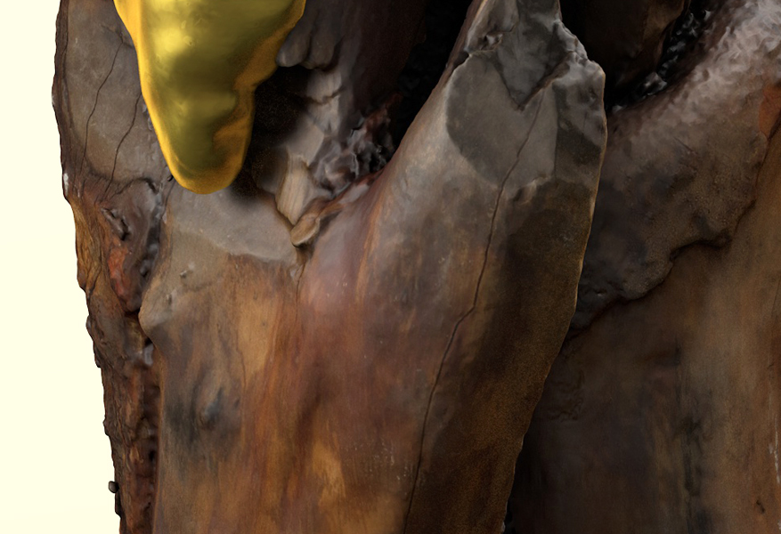 3D CGI seasons wood spring summer winter Render realflow cinema 4d madrid gold vertebra cut series