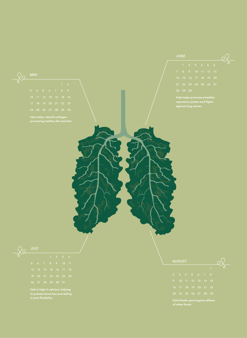 Health Vegtables natural Fruit calendar design heart brain lungs Kale walnuts avocado