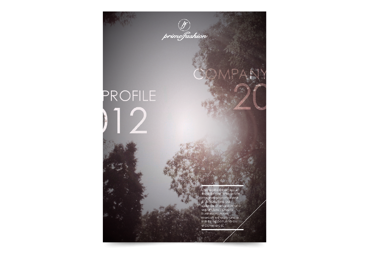 company profile report catalog presentation