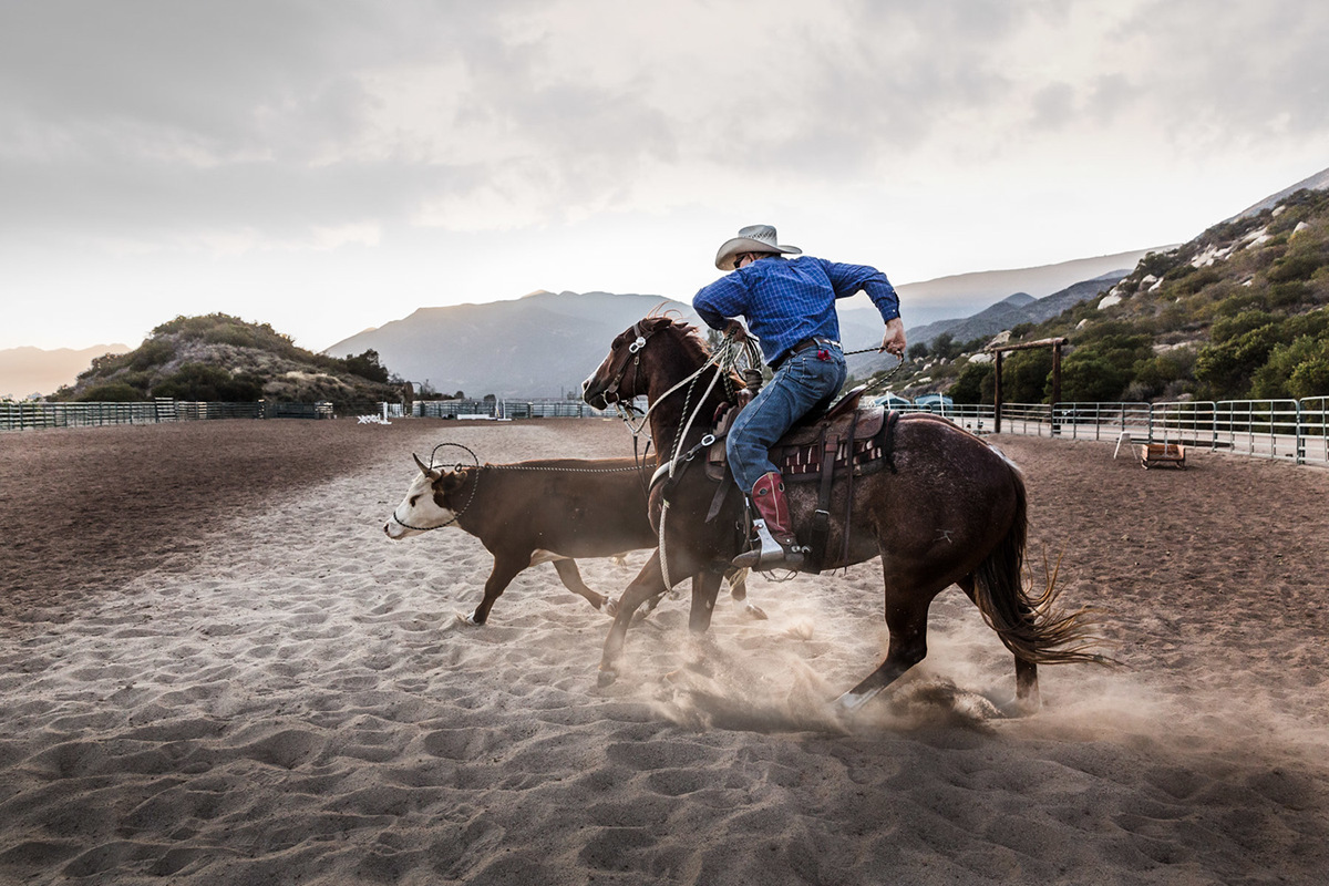 horse equine horsemanship cowboy ranch rodeo farm school horseriding sports equestrian animals pets Documentary  report