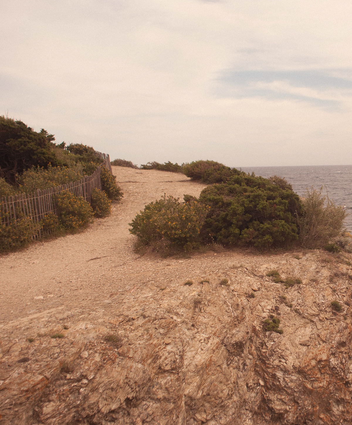Island lost treasure pines path sea front