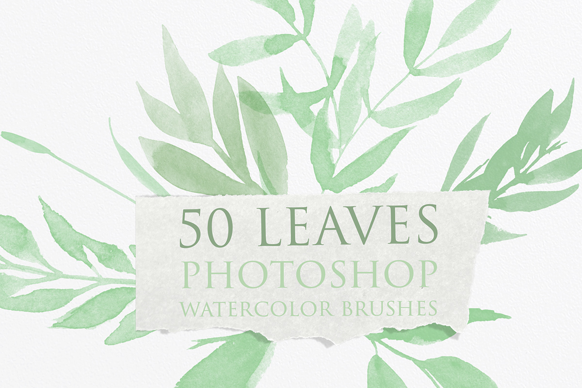 abr adobe artwork brush leaf leaves paint painting   photoshop watercolor