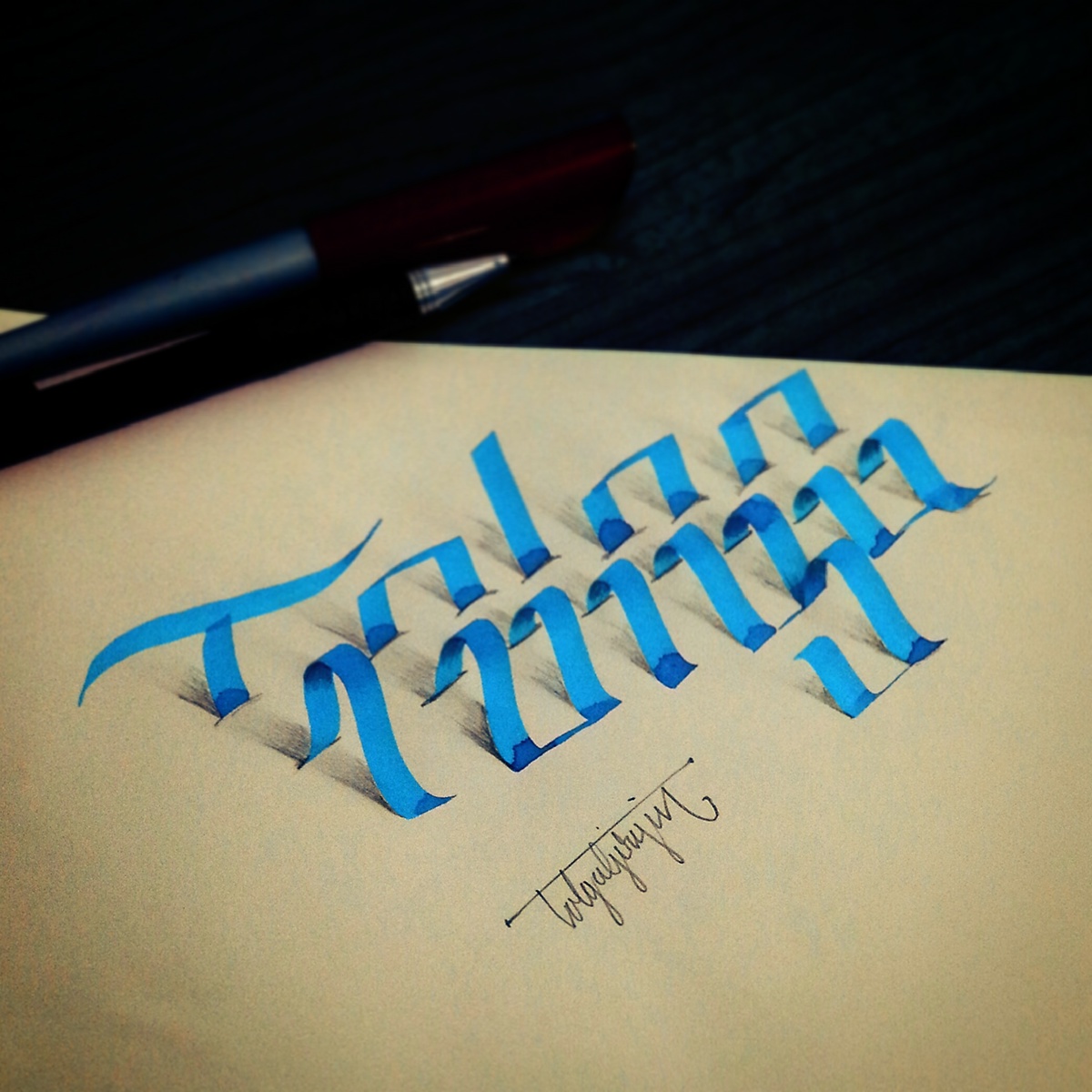 anamorphic tolgagirgin calligraffiti lettering Handlettering handtype logo Logotype handstyles freelancer caligrafia