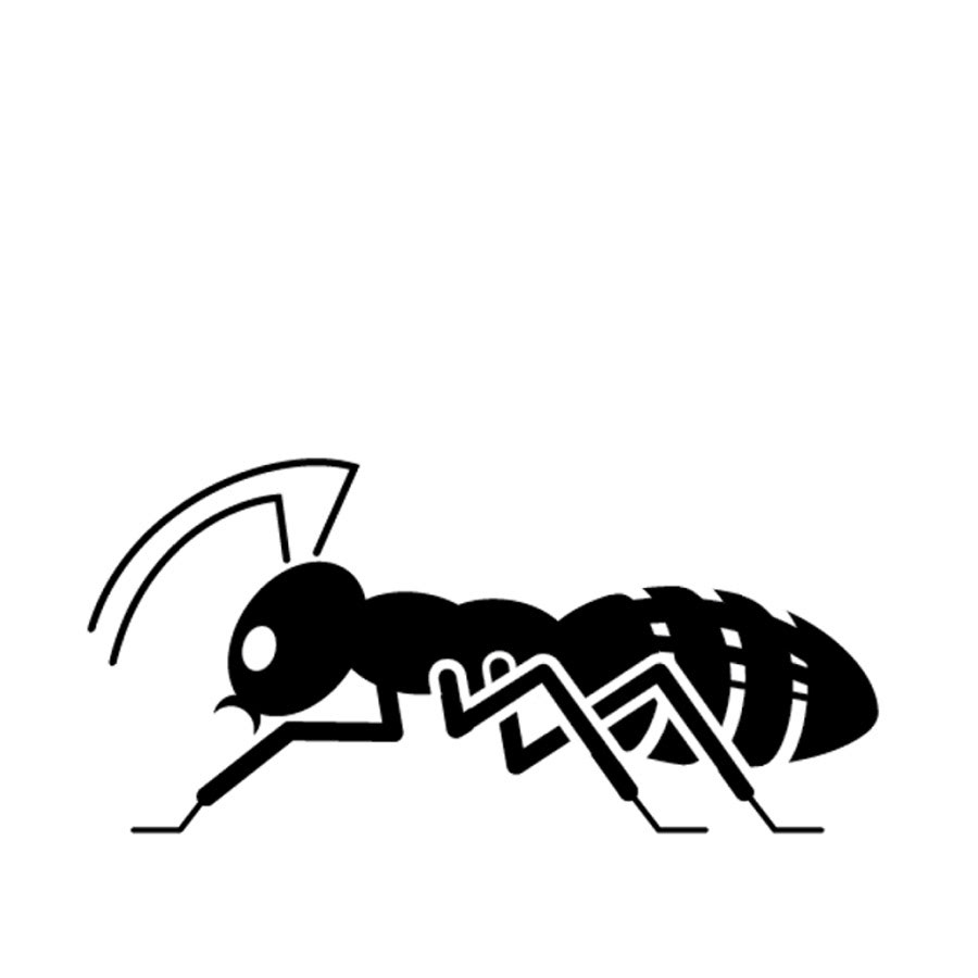 entomolgoy symbol system
