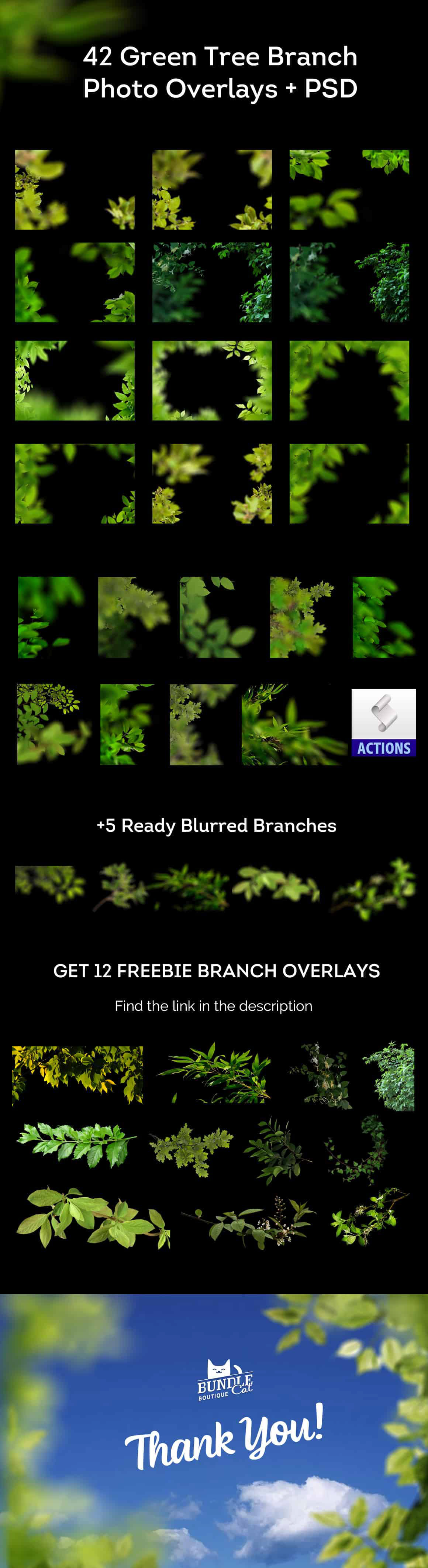 Blossom Branch Branch Overlays branches branches clipart photo overlays tree branch tree branches