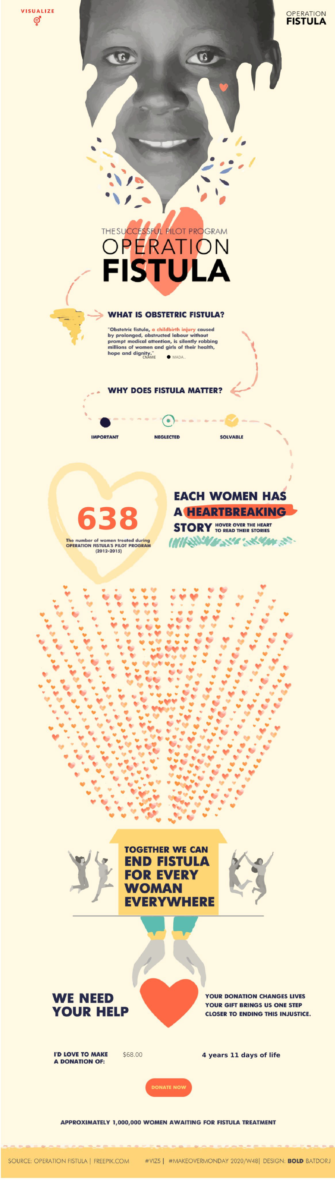 charity dashboard design data visualisation data visualization dataviz donation infographic information design non-profit women