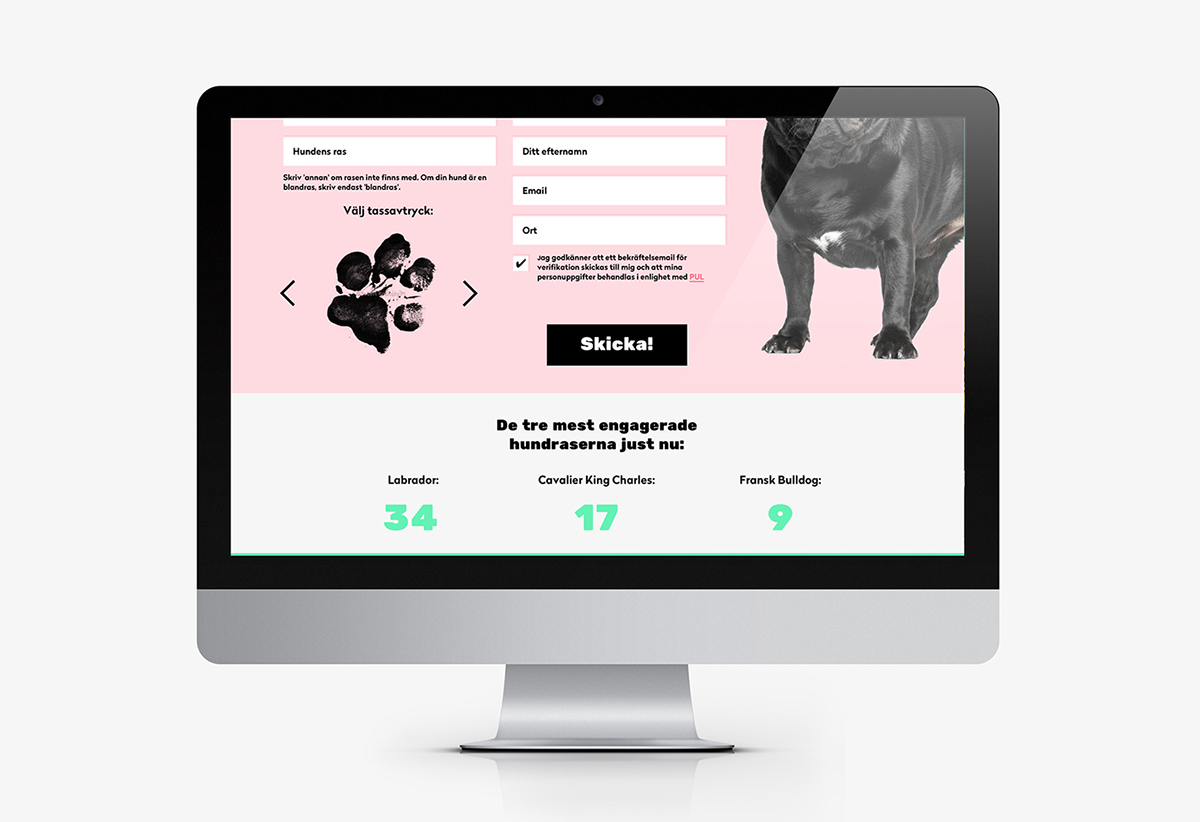 Website campaign dogs pugs web campaign Responsive Design Responsive
