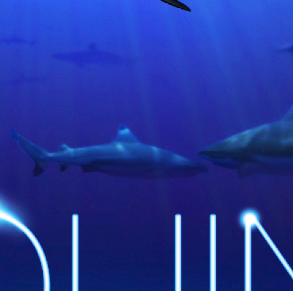 shark Requin expo Monaco Ocean oceanography oceanographie france requins musée museum monte carlo