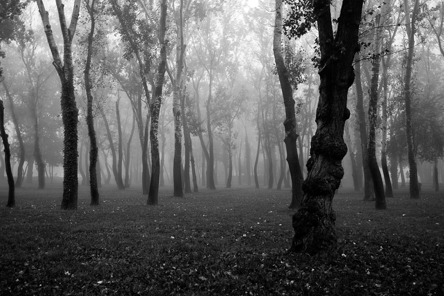 mist Ino Zeljak Ino Zeljak Photography Ino Zeljak Landscape black & white